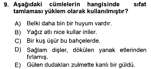 Türkçe Cümle Bilgisi 1 2021-2022 Ara Sınav - 9. soru
