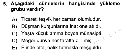 Türkçe Cümle Bilgisi 1 2021-2022 Yaz Okulu Sınavı - 5. soru