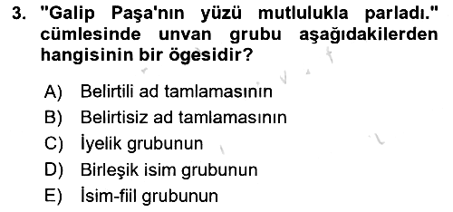 Türkçe Cümle Bilgisi 1 2023-2024 Yaz Okulu Sınavı - 3. soru