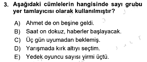 Türkçe Cümle Bilgisi 1 2024-2025 Yaz Okulu Sınavı - 3. soru