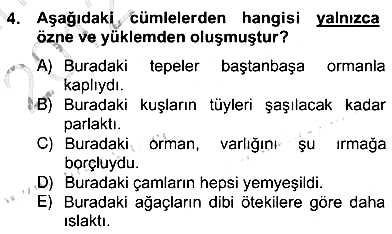Türkçe Cümle Bilgisi 2 2012-2013 Ara Sınav - 4. soru