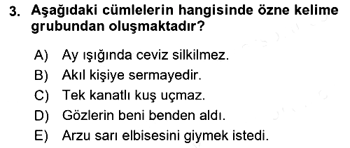 Türkçe Cümle Bilgisi 2 2018-2019 Ara Sınav - 3. soru
