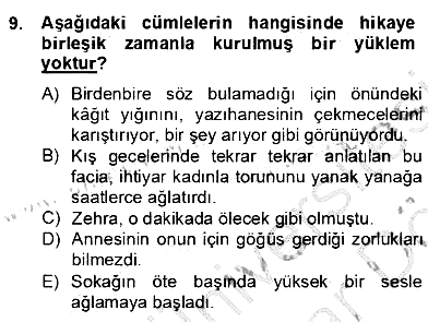 Türkçe Cümle Bilgisi 2 2012-2013 Dönem Sonu Sınavı - 9. soru
