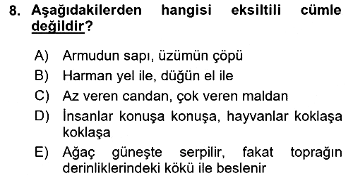 Türkçe Cümle Bilgisi 2 2025-2026 Dönem Sonu Sınavı - 8. soru