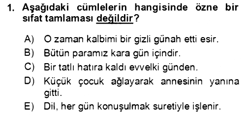 Türkçe Cümle Bilgisi 2 2020-2021 Yaz Okulu Sınavı - 1. soru