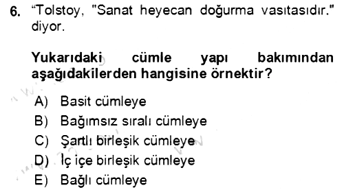 Türkçe Cümle Bilgisi 2 2020-2021 Yaz Okulu Sınavı - 6. soru