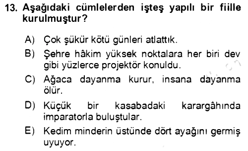 Türkçe Cümle Bilgisi 2 2020-2021 Yaz Okulu Sınavı - 13. soru