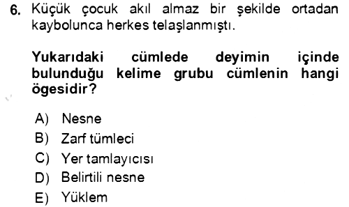 Türkçe Cümle Bilgisi 2 2021-2022 Yaz Okulu Sınavı - 6. soru