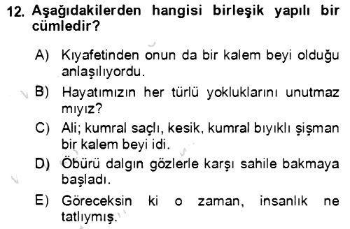 Türkçe Cümle Bilgisi 2 2021-2022 Yaz Okulu Sınavı - 12. soru