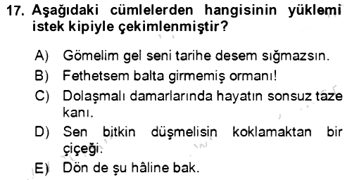 Türkçe Cümle Bilgisi 2 2021-2022 Yaz Okulu Sınavı - 17. soru