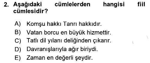 Türkçe Cümle Bilgisi 2 2024-2025 Yaz Okulu Sınavı - 2. soru