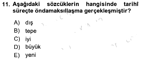 Türkçe Ses Bilgisi 2023-2024 Yaz Okulu Sınavı - 11. soru