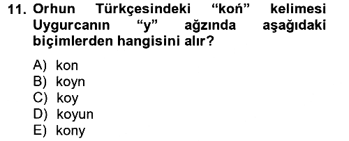 Uygur Türkçesi 2012-2013 Ara Sınav - 11. soru