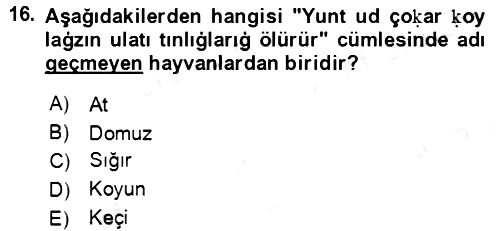 Uygur Türkçesi 2018-2019 Ara Sınav - 16. soru