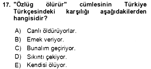 Uygur Türkçesi 2018-2019 Ara Sınav - 17. soru