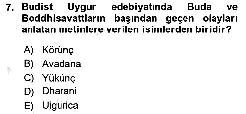 Uygur Türkçesi 2024-2025 Ara Sınav - 7. soru