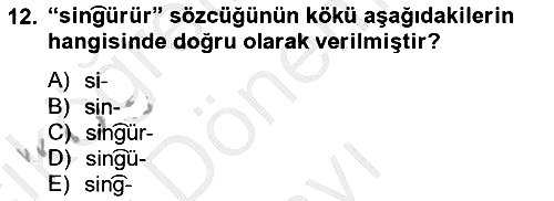 Uygur Türkçesi 2012-2013 Dönem Sonu Sınavı - 12. soru