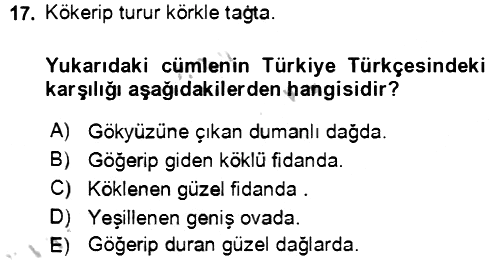 Uygur Türkçesi 2018-2019 Yaz Okulu Sınavı - 17. soru