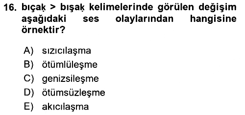 XIV-XV. Yüzyıllar Türk Dili 2016-2017 Dönem Sonu Sınavı - 16. soru