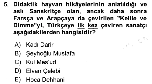 XIV-XV. Yüzyıllar Türk Edebiyatı 2023-2024 Yaz Okulu Sınavı - 5. soru