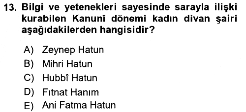 XIX. Yüzyıl Türk Edebiyatı 2016-2017 3 Ders Sınavı - 13. soru