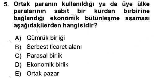 Avrupa Birliği 2018-2019 3 Ders Sınavı - 5. soru