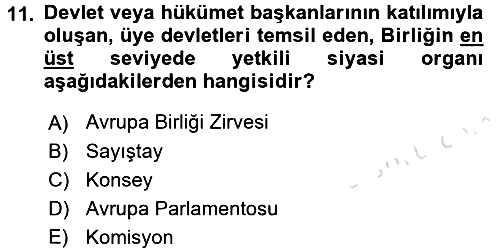 Avrupa Birliği 2018-2019 3 Ders Sınavı - 11. soru