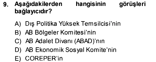 Avrupa Birliği 2013-2014 Ara Sınav - 9. soru