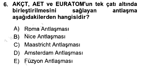 Avrupa Birliği 2024-2025 Ara Sınav - 6. soru