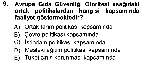 Avrupa Birliği 2012-2013 Dönem Sonu Sınavı - 9. soru