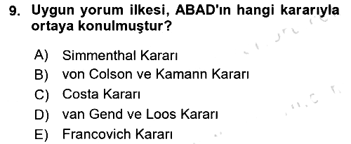 Avrupa Birliği 2020-2021 Yaz Okulu Sınavı - 9. soru
