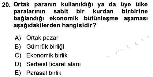 Avrupa Birliği 2021-2022 Yaz Okulu Sınavı - 20. soru