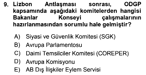 Avrupa Birliği 2023-2024 Yaz Okulu Sınavı - 9. soru