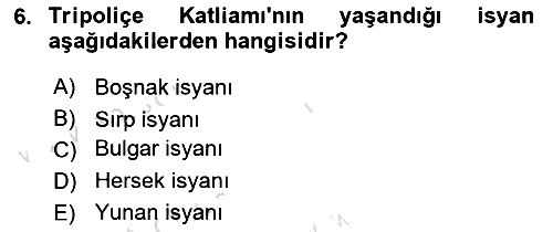 Balkanlarda Siyaset 2024-2025 Yaz Okulu Sınavı - 6. soru