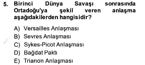 Diplomasi Tarihi 2013-2014 Tek Ders Sınavı - 5. soru