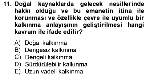 Gelişmekte Olan Ülkelerde Siyaset 2012-2013 Ara Sınav - 11. soru