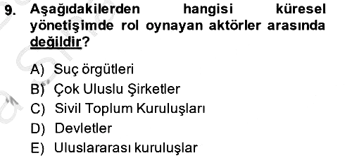 Gelişmekte Olan Ülkelerde Siyaset 2014-2015 Ara Sınav - 9. soru