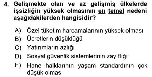 Gelişmekte Olan Ülkelerde Siyaset 2017-2018 Ara Sınav - 4. soru