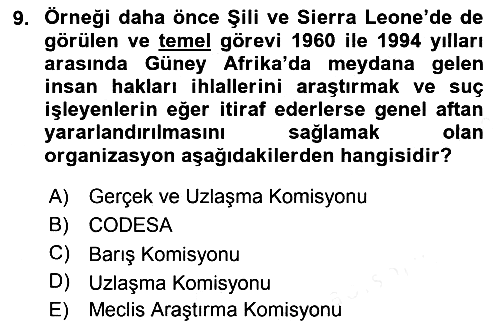 Gelişmekte Olan Ülkelerde Siyaset 2018-2019 Ara Sınav - 9. soru