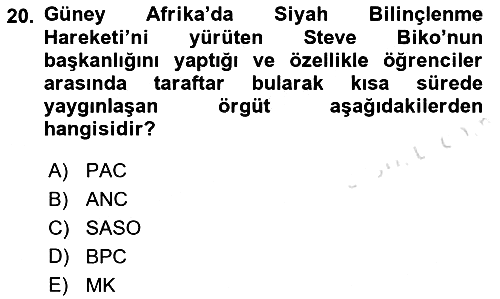 Gelişmekte Olan Ülkelerde Siyaset 2021-2022 Ara Sınav - 20. soru
