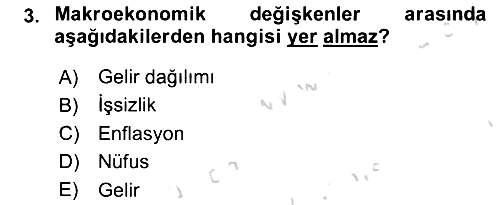 Gelişmekte Olan Ülkelerde Siyaset 2023-2024 Ara Sınav - 3. soru