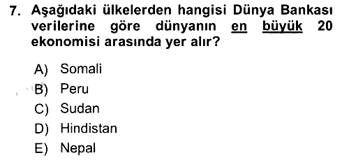 Gelişmekte Olan Ülkelerde Siyaset 2023-2024 Ara Sınav - 7. soru