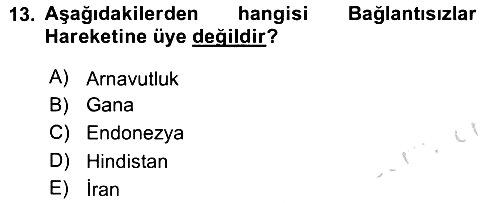 Gelişmekte Olan Ülkelerde Siyaset 2023-2024 Ara Sınav - 13. soru