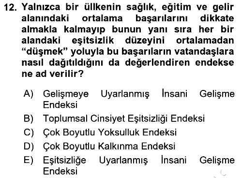 Gelişmekte Olan Ülkelerde Siyaset 2025-2026 Ara Sınav - 12. soru