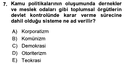 Gelişmekte Olan Ülkelerde Siyaset 2024-2025 Yaz Okulu Sınavı - 7. soru