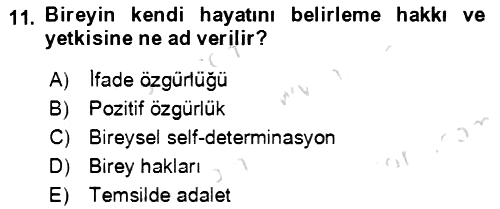 İnsan Hakları ve Demokratikleşme Süreci 2021-2022 Yaz Okulu Sınavı - 11. soru