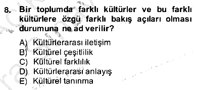 Küreselleşme ve Kültürlerarası İletişim 2012-2013 Ara Sınav - 8. soru