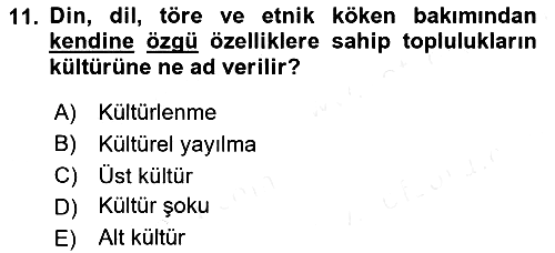 Küreselleşme ve Kültürlerarası İletişim 2018-2019 Ara Sınav - 11. soru
