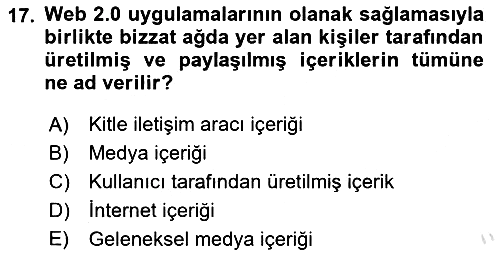Küreselleşme ve Kültürlerarası İletişim 2024-2025 Dönem Sonu Sınavı - 17. soru