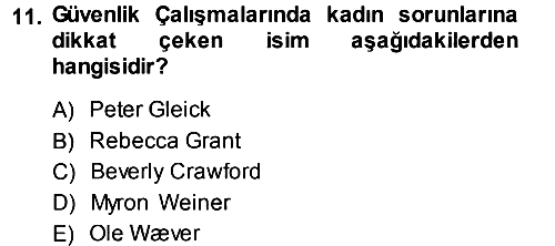 Strateji ve Güvenlik 2013-2014 Tek Ders Sınavı - 11. soru